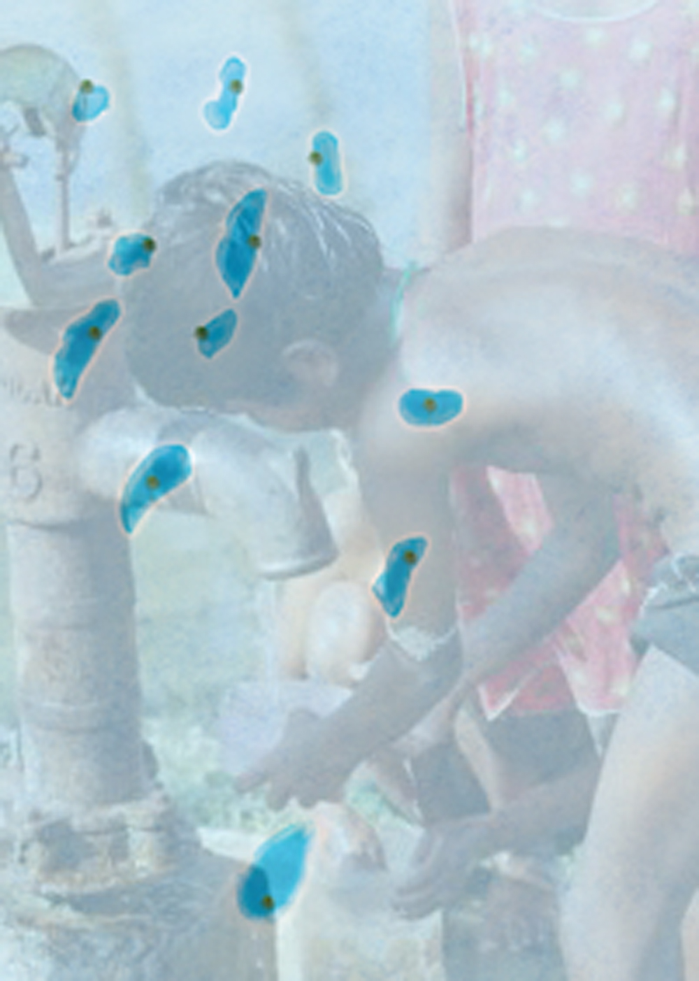 Freshwater in Lakshadweep